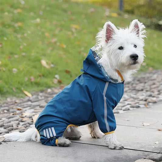 Impermeable pour chien | Protection pour petites tailles