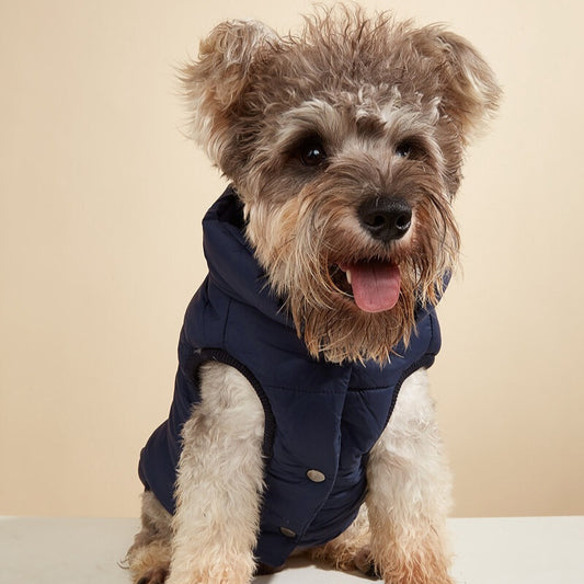 Manteau pour chien | rembourré en peluche