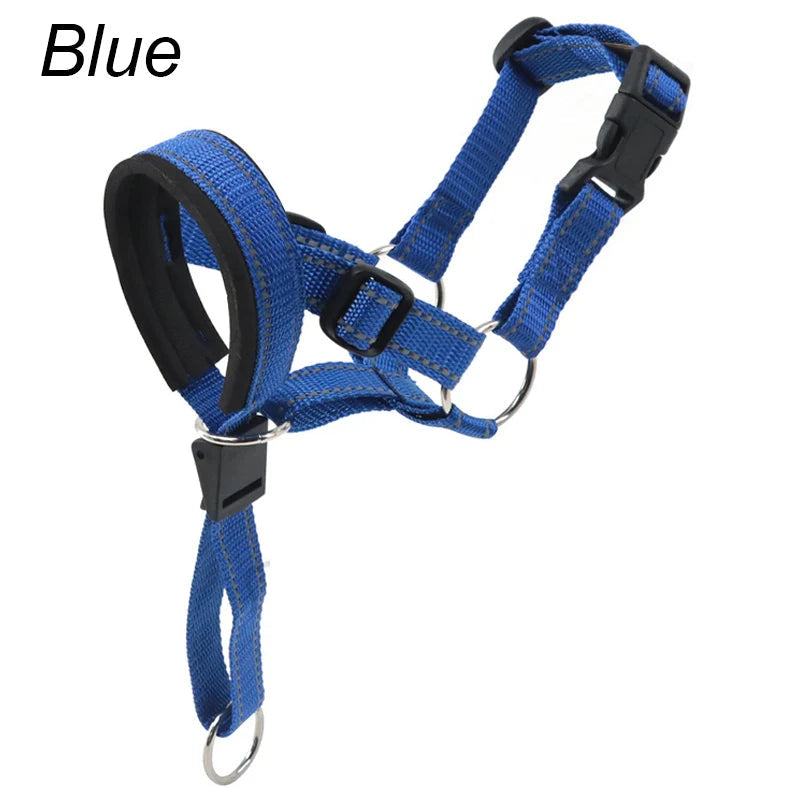 Muselière chien licou anti-traction bleu