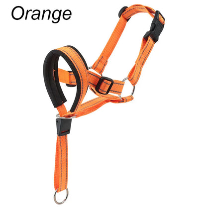 Muselière chien licou anti-traction orange