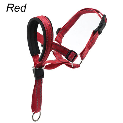 Muselière chien licou anti-traction rouge