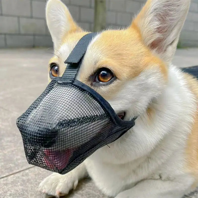 Museliere pour chien grande taille maille corgi noir