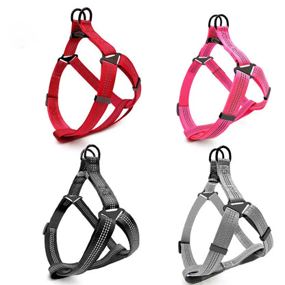 Harnais chien | ajustable et resistant