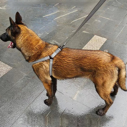 Harnais chien | ajustable et resistant