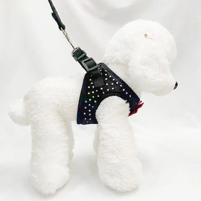 Harnais chien | petit et chic