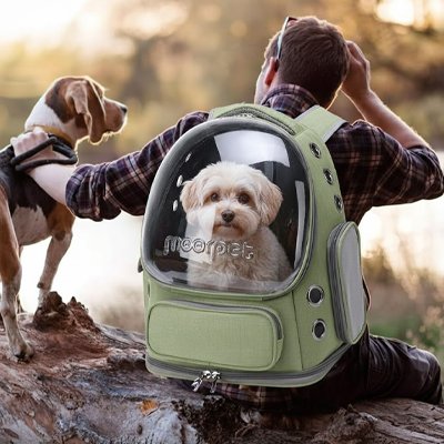 Sac à dos aéré avec fenêtre vert shih tzu