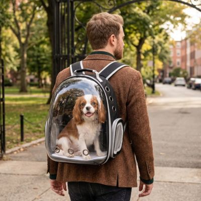 Sac à dos chien capsule  spatiale cavalier king charles