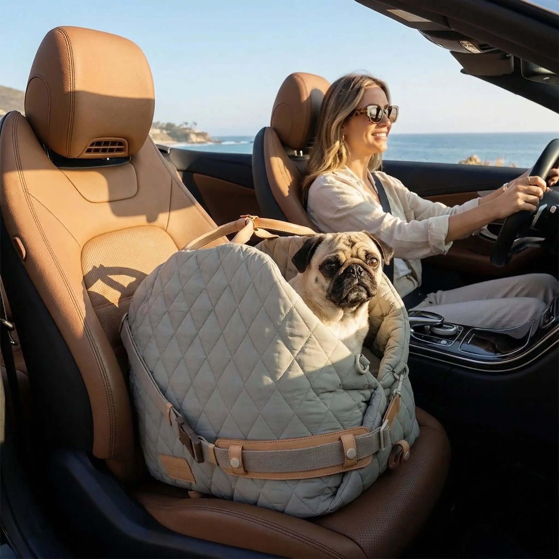 Sac transport luxe confort gris pug voiture decapotable