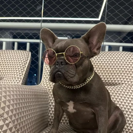 Collier chien diamant métal or rose bulldog Français