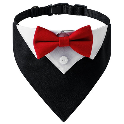 Collier chien | Bandana toxedo