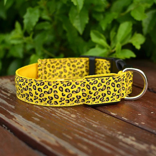 Collier lumineux pour chien | Motif léopard pale