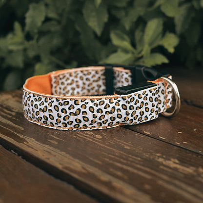 Collier lumineux pour chien | Motif léopard pale