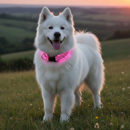 Collier lumineux pour chien | Motif léopard pale