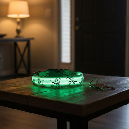 Collier lumineux pour chien | dessin animé orange et vert