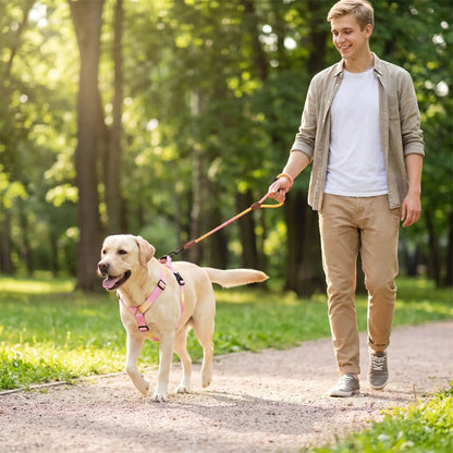 Harnais chien | respirant et robuste