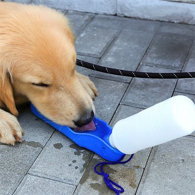 Gourde_pour_chien_bol_boire_au_sol_bleu