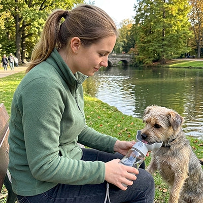 Gourde Chien | Promenade sans dégat - gris et blanc