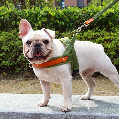 harnais chien petit face gauche devant