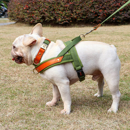 harnais chien petit face gauche