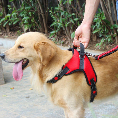 harnais chien tenu
