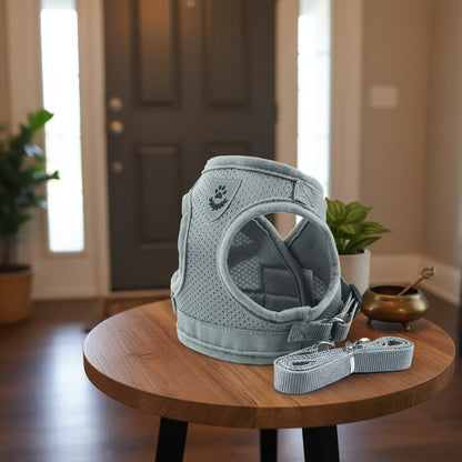 Harnais chien | Confort pour les petites tailles