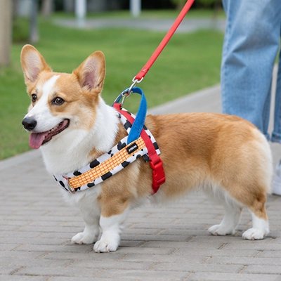 Harnais pour Chien 1