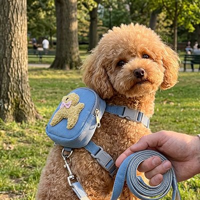  Harnais pour chien transport friandise bleu