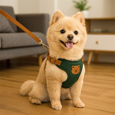 Harnais pour petit Chien 5