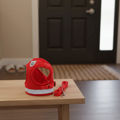 Harnais chien | Confort pour les petites tailles