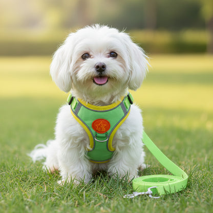 harnais chien anti-traction 2 attaches vert bichon