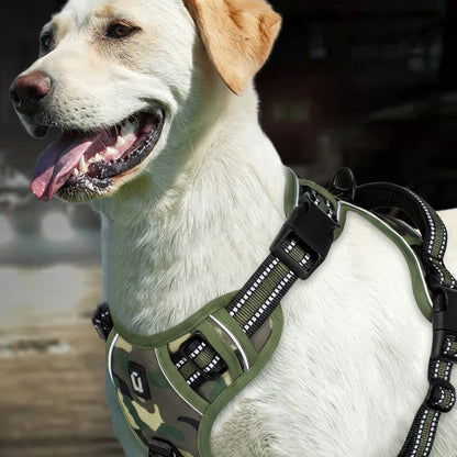 harnais chien anti-traction rembourré camouflage labrador