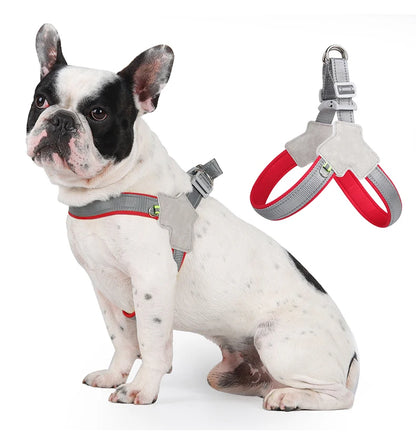 Harnais chien | extensible et réfléchissant