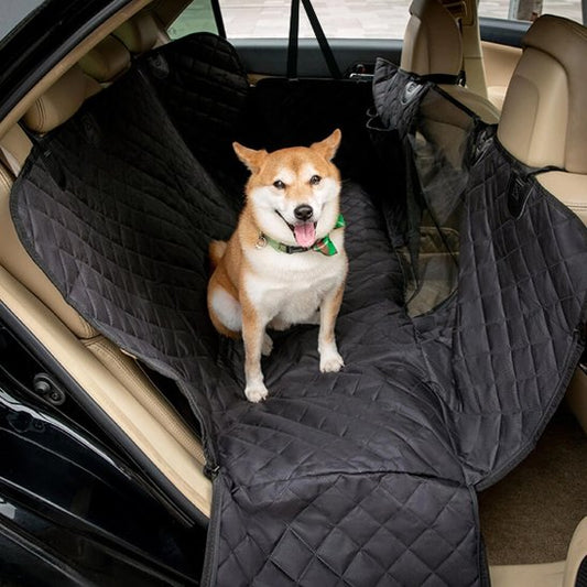Housse voiture chien avec chien assie