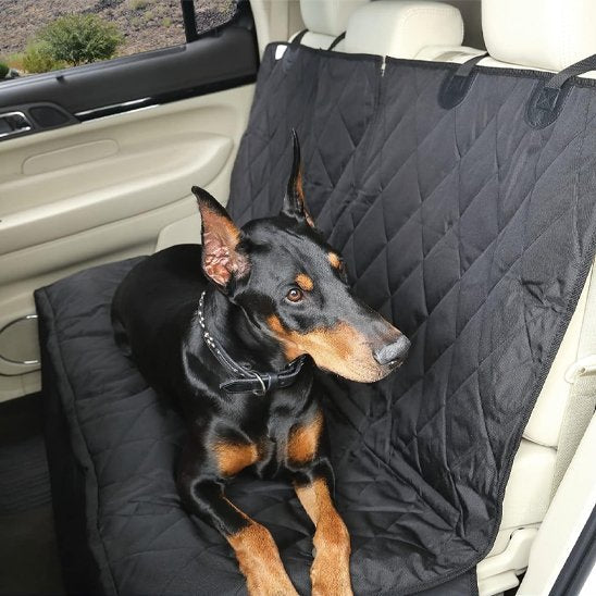 Housse voiture chien avec chien