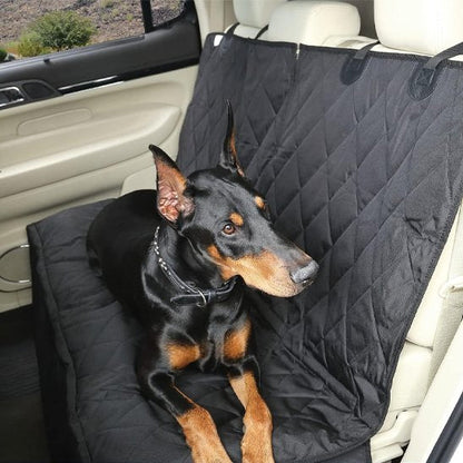 Housse voiture chien avec chien