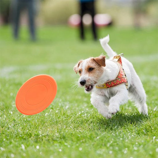 Jouet chien disque volant flottant orange
