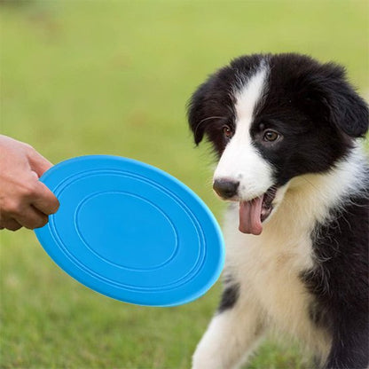 Jouet chien disque volant flottant bleu