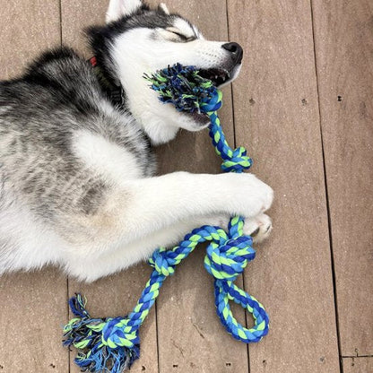Jouet pour chien corde noeud husky