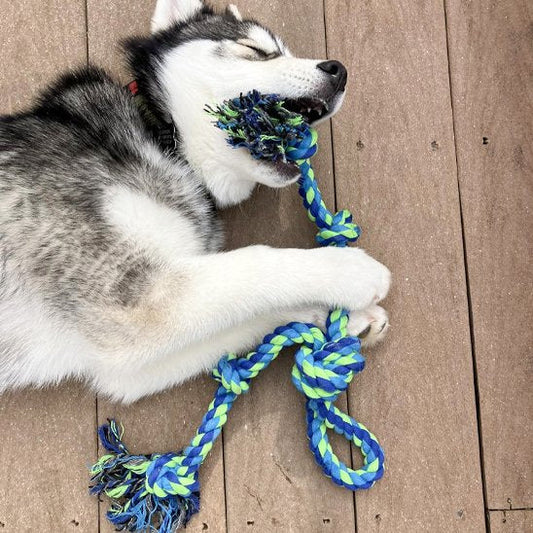 Jouet pour chien corde noeud husky