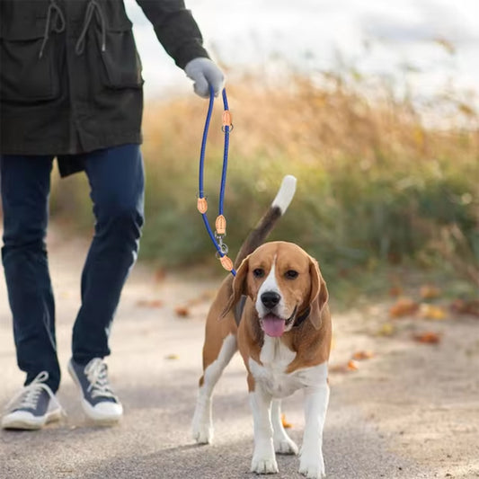 laisse pour chien face devant