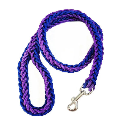 Laisse pour chien Montagnard bleu