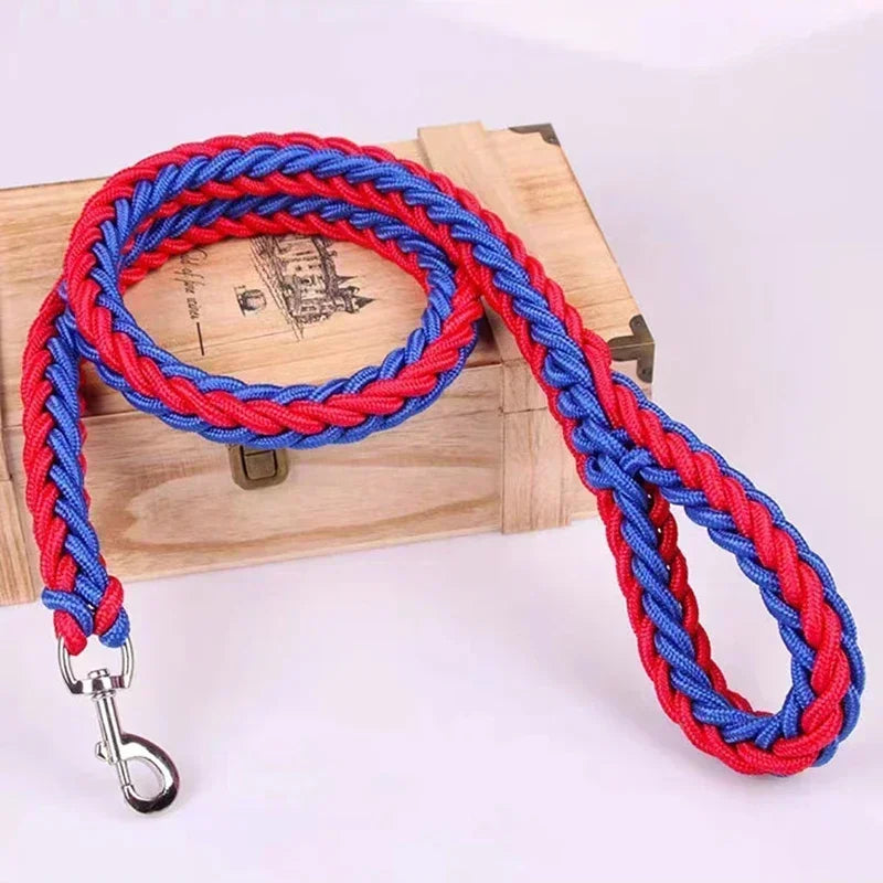 Laisse pour chien Montagnard bleu et rouge
