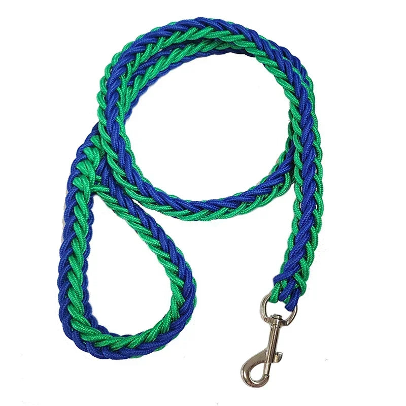 Laisse pour chien Montagnard vert