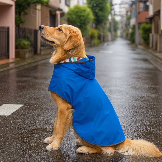 Golden retriever portant un manteau de pluie réversible bleu ajustable
