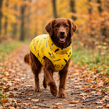 Golden retriever roux portant un manteau pour chien jaune grande taille, vu de face en trois-quarts
