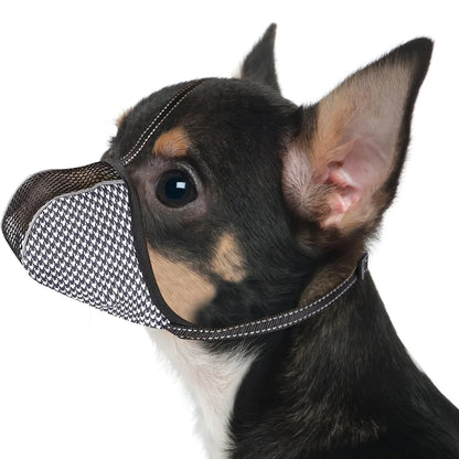 muselière anti aboiement petites races chihuahua modèle
