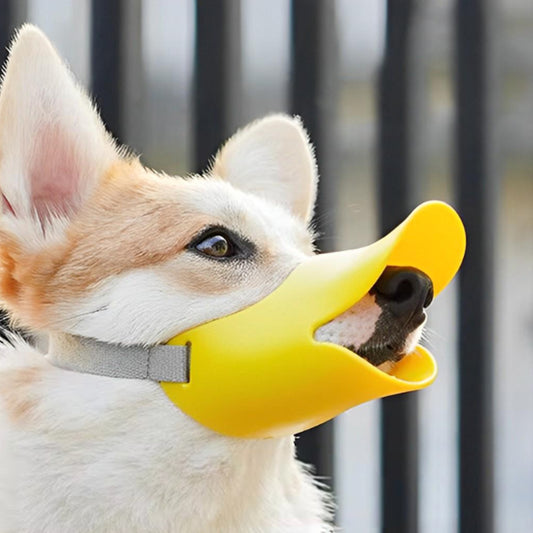 Muselière pour chien | modèle bec de canard