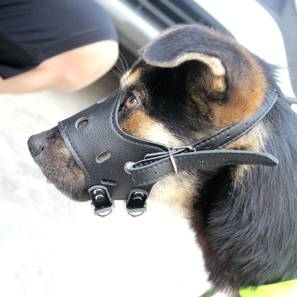 Museliere chien | Cuir et souple