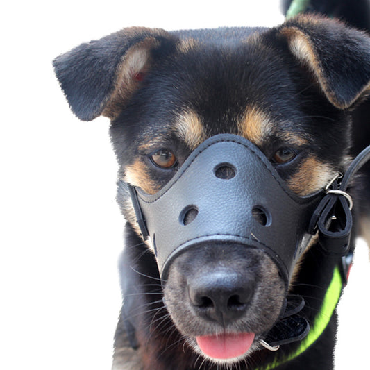 Museliere chien | Cuir et souple