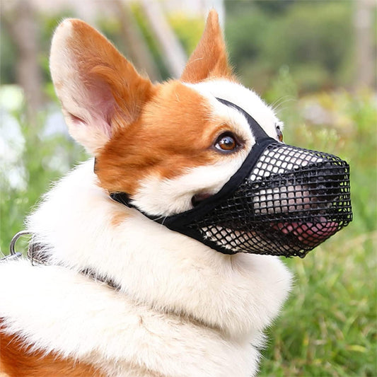 Museliere pour chien | Mailles douces et durables